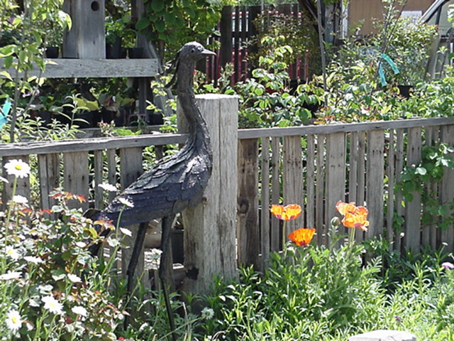 Secretary Bird