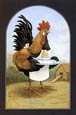 Buy Le Coq at AllPosters.com
